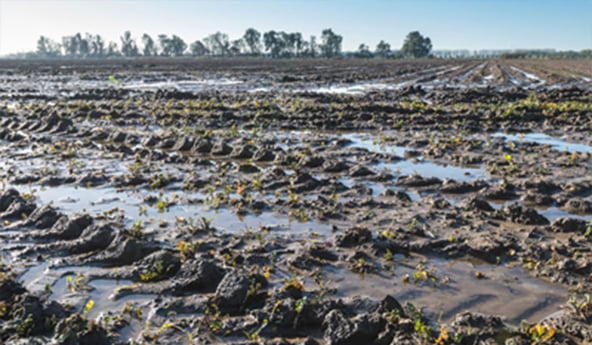 3 soil conditions