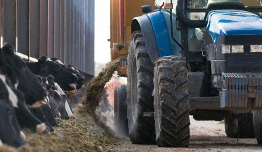 Polyvalent work in the farmyard and in the fields