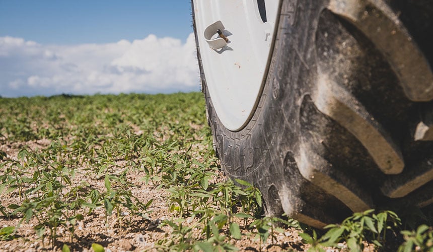 Avoid compaction and preserve your soil