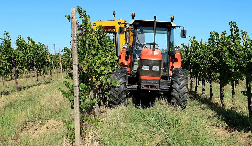Wine grower tractor for inter row activities
