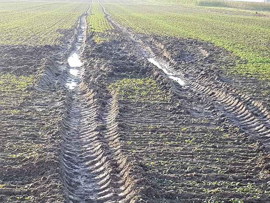 How to avoid compaction despite the load