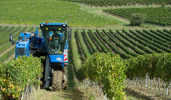 Vineyard straddle tractor