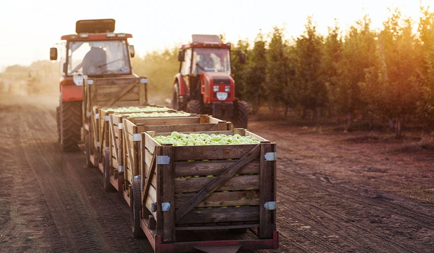 tyres that are adapted to orchard farming