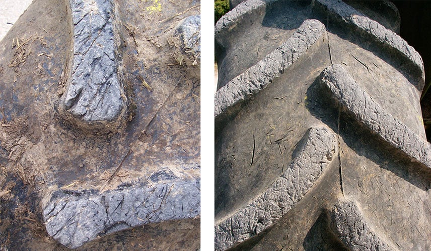 Lugs covered in cuts and scratches linked to use on soil rich in silex