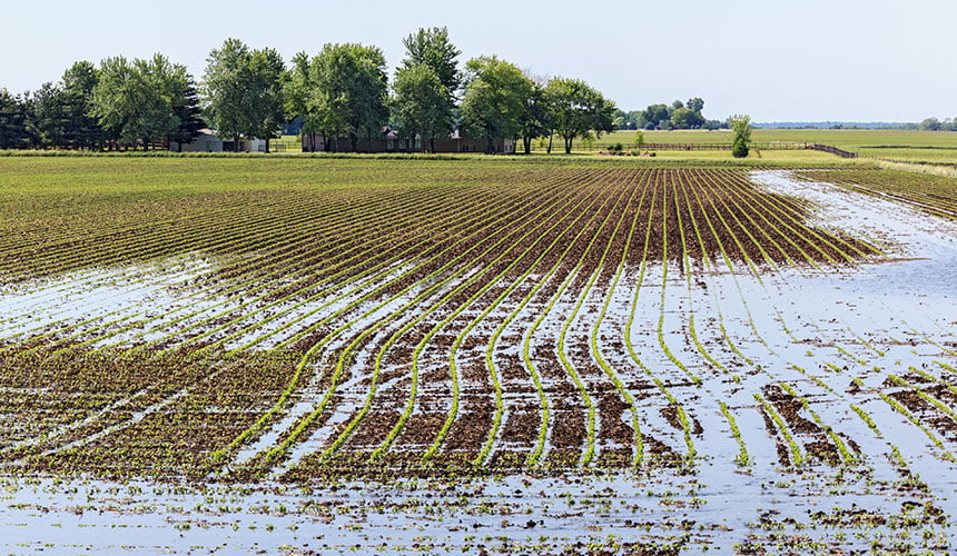 Rolling resistance has consequences in terms of soil compaction