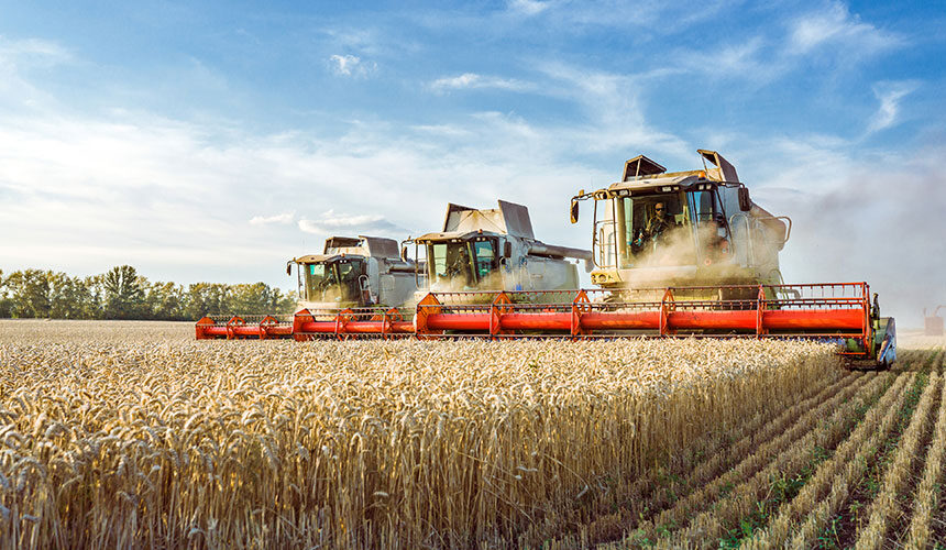 Harvesting is the agricultural campaign with the highest impact on soil