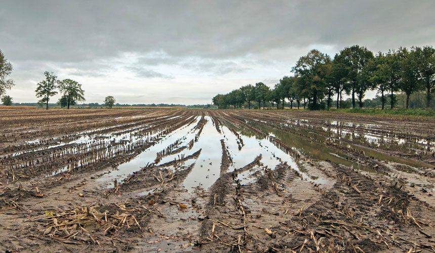 Waterlogged soil which is difficult to work on
