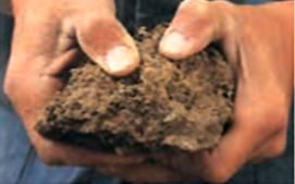 Hard and compact soil