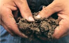 Wet and sticky soil